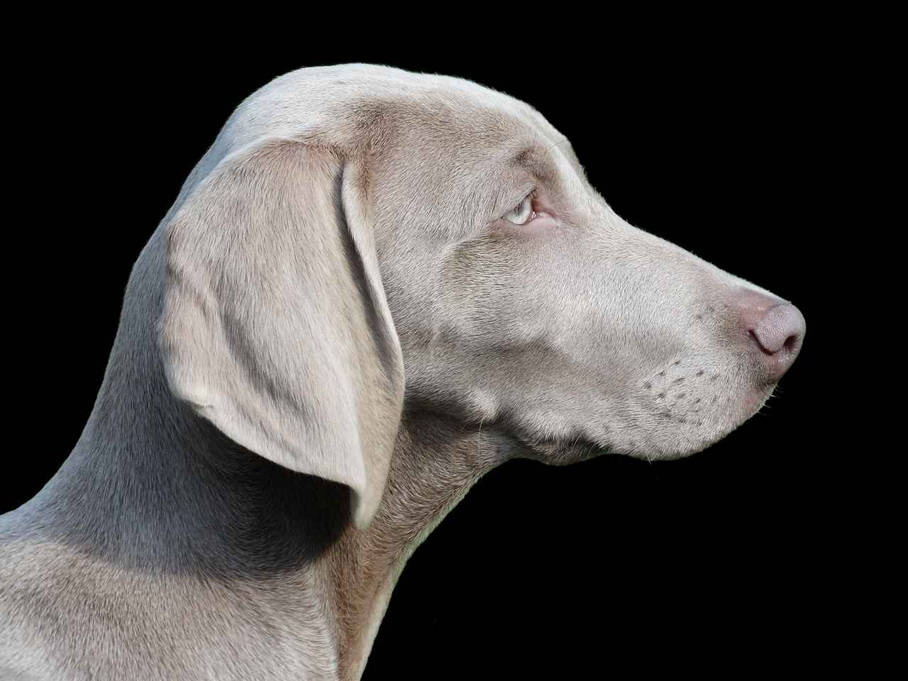 Preparing for Remote Bookkeeping Interviews