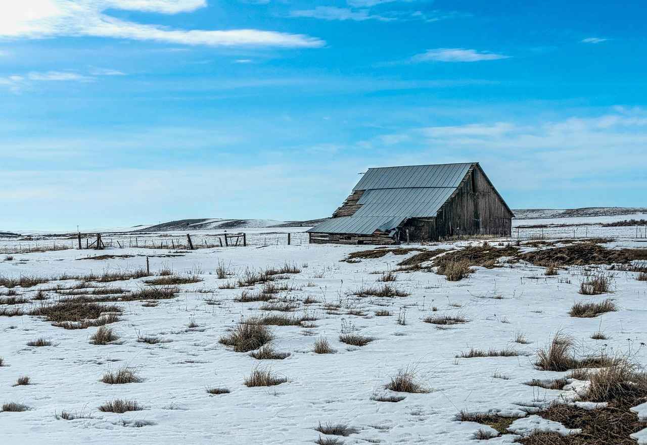 Networking in a Remote World