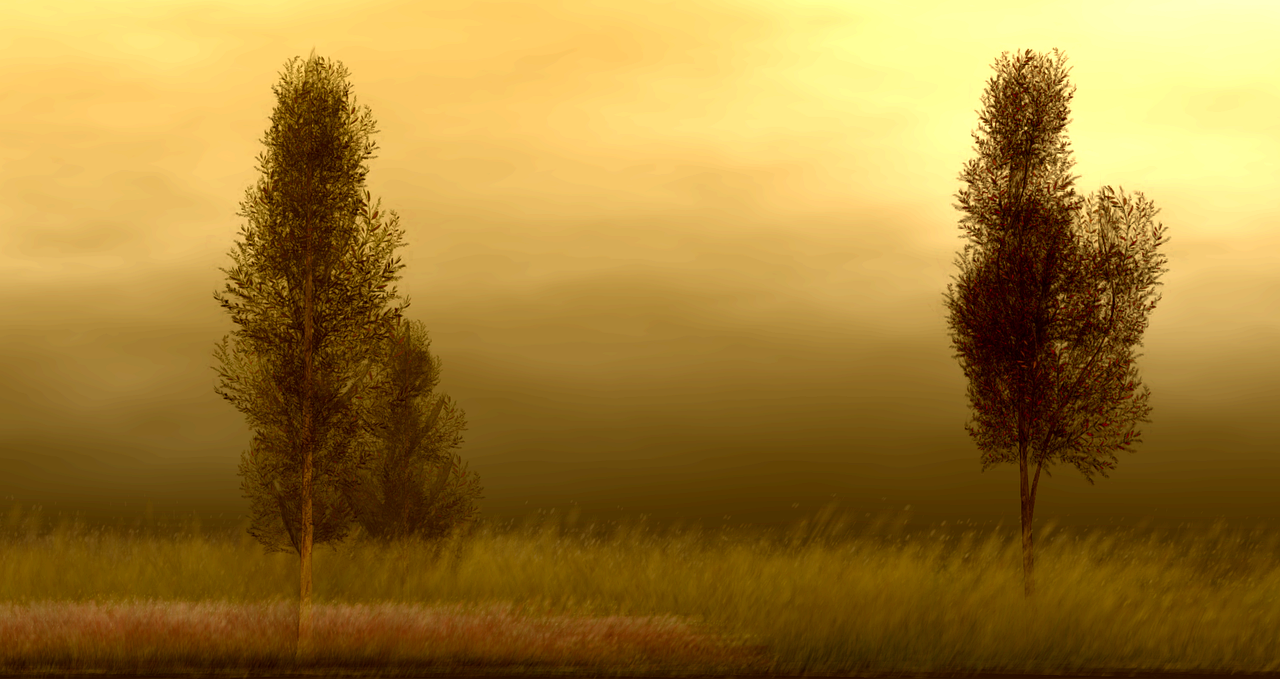 Part-Time Remote Jobs in Virtual Assistance 5 Tips for Success as a Virtual Assistant