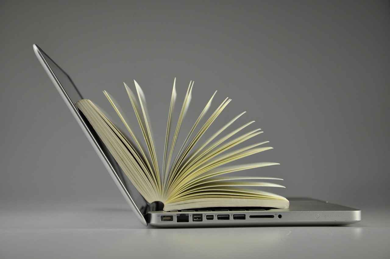 What is Data Entry?